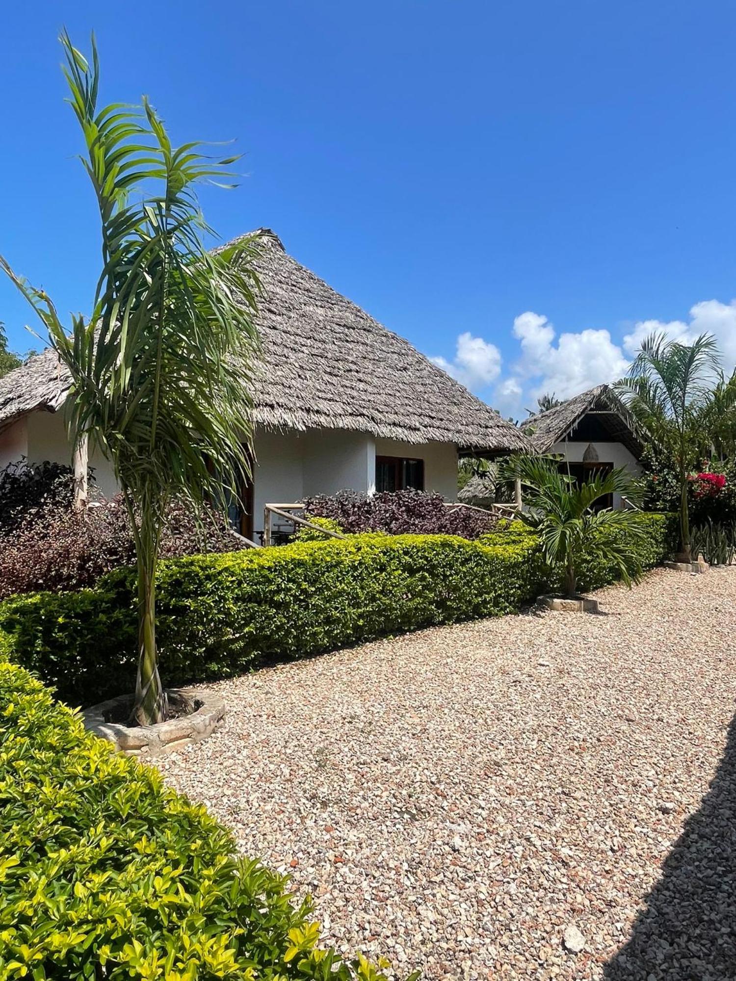 Kokopelli Bungalows Nungwi Exteriör bild