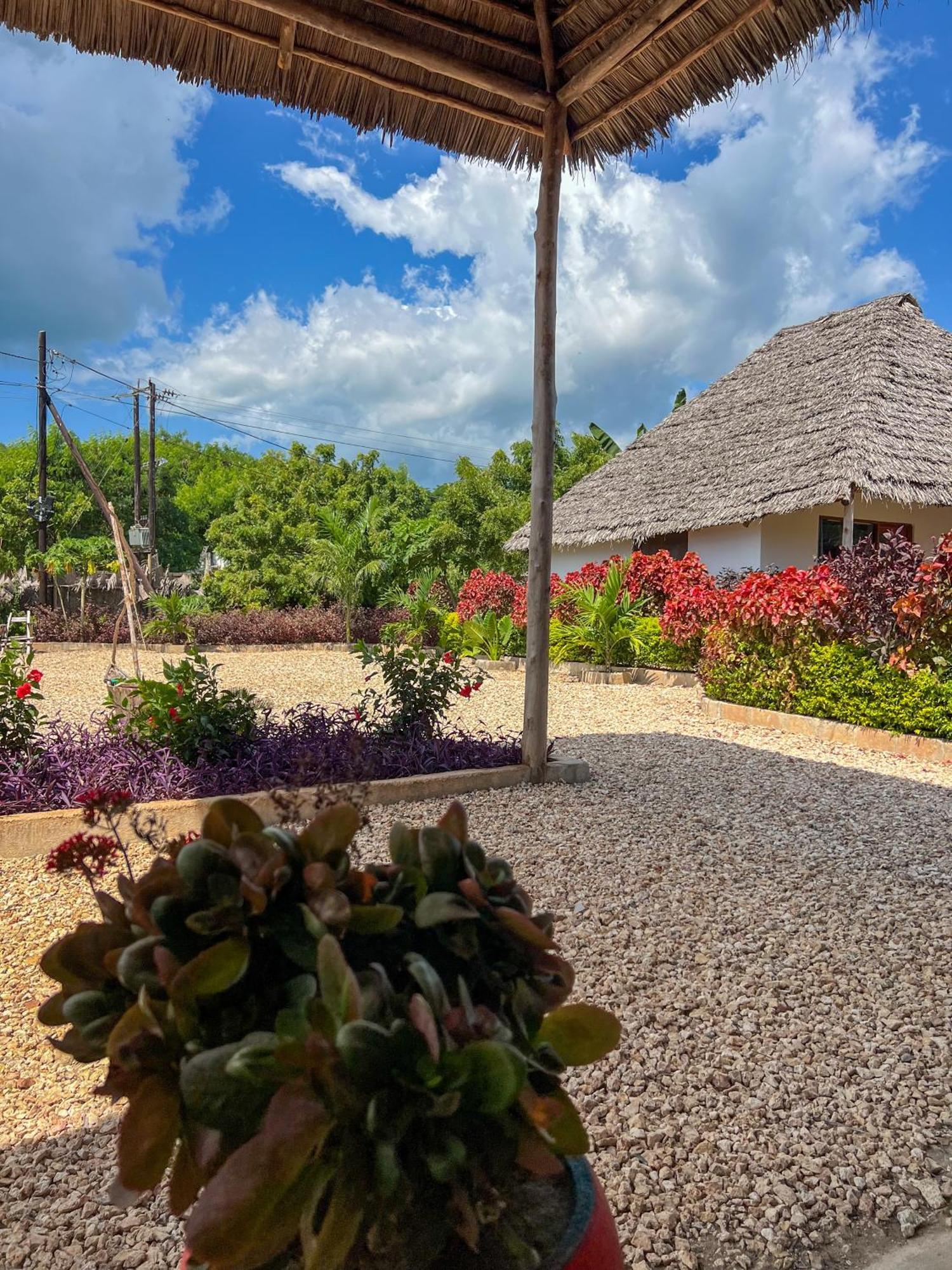 Kokopelli Bungalows Nungwi Exteriör bild